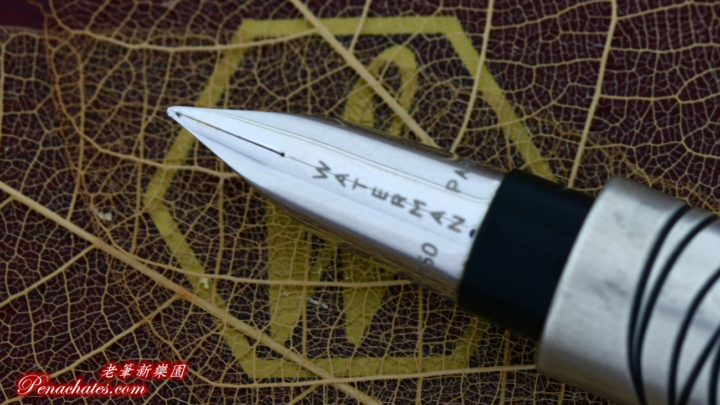 waterman serenite cocobolo m-nib 20190306 penachates 95