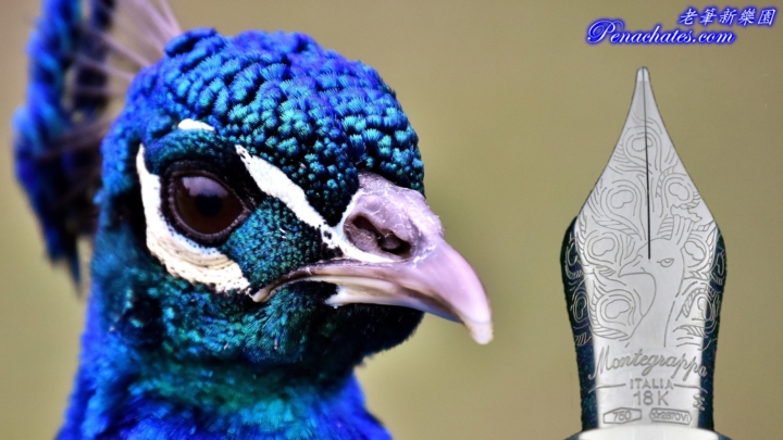 montegrappa extra peacock in butterfly blue 2019 penachates 99