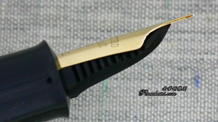 Ginjiro Kabutogi 20200205 penachates 83