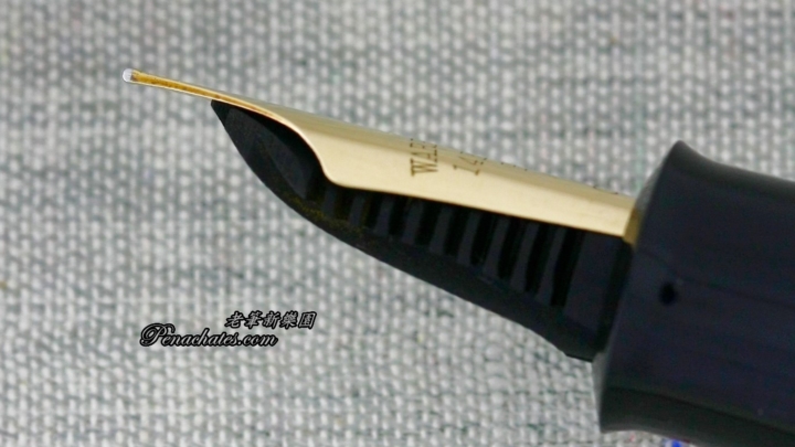 Ginjiro Kabutogi 20200205 penachates 84