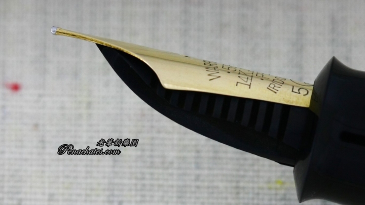 Ginjiro Kabutogi 20200205 penachates 94