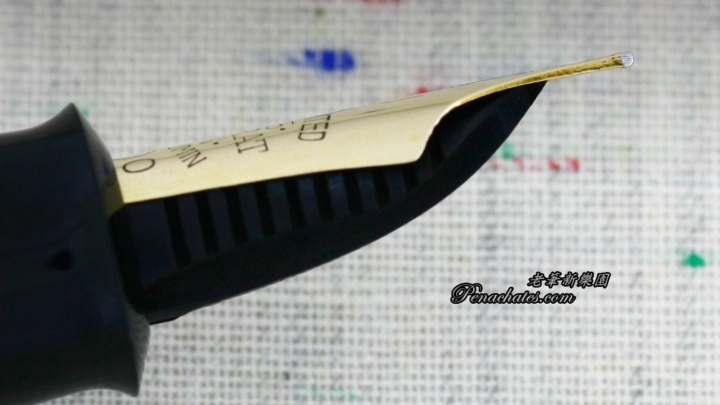 Ginjiro Kabutogi 20200205 penachates 95