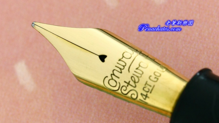 sn10202004 conway stewart 58 marbled blue penachates.com 94