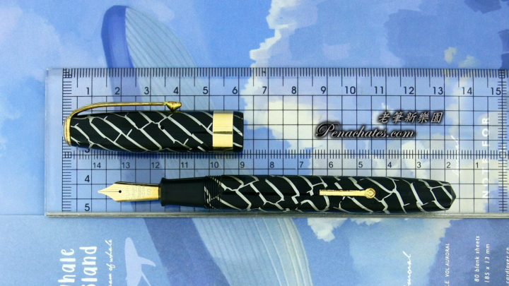 sn10252009 conway stewart 60 cracked ice penachates.com 94