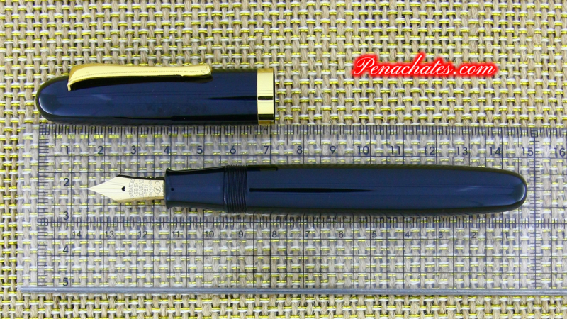 Japanese Eyedropper Urushi Ginjiro 50 F-nib 03012202 penachates.com 96