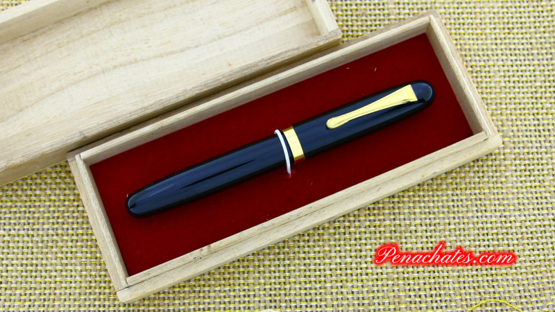 Japanese Eyedropper Urushi Ginjiro 50 F-nib 03012202 penachates.com 98