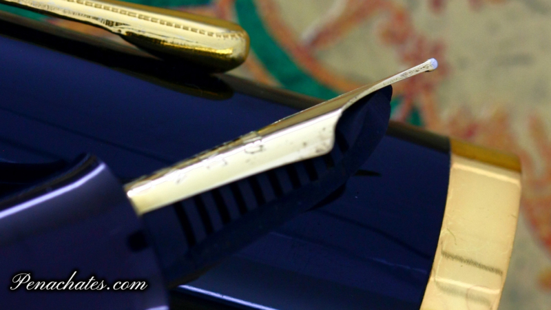 Japanese Eyedropper Urushi Ginjiro 50 M-nib 20220312 Penachates.com 94