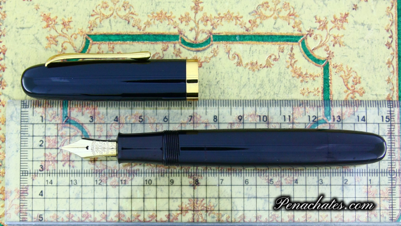 Japanese Eyedropper Urushi Ginjiro 50 M-nib 20220312 Penachates.com 98